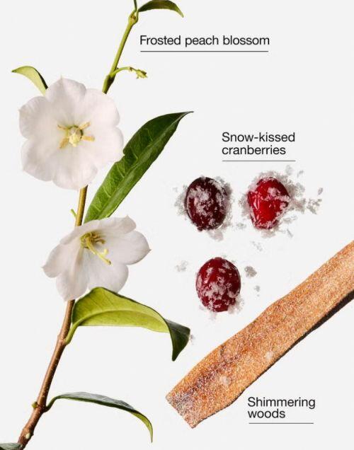 BATH & BODY WORKS - SNOWY PEACH BERRY POCKETBAC HAND SANITIZER