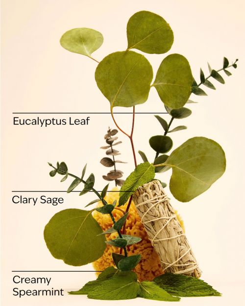 BATH & BODY WORKS - EUCALYPTUS + SPEARMINT ROOM SPRAY