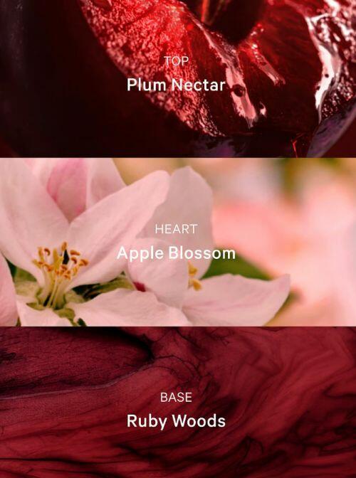VICTORIA'S SECRET- RUBY PLUM NIGHTS FRAGRANCE MIST