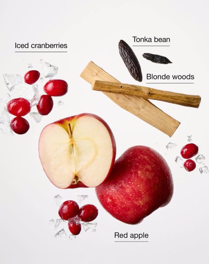 BATH & BODY WORKS - FROSTED CRANBERRY CANDLE 411G