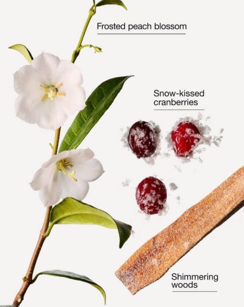 BATH & BODY WORKS -SNOWY PEACH BERRY CANDLE 411G