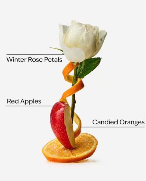 BATH & BODY WORKS -WINTER CANDY APPLE CANDLE 411G
