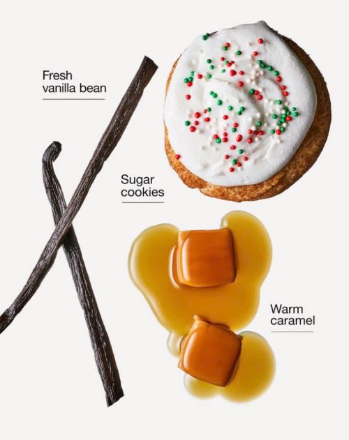 BATH & BODY WORKS - VANILLA BEAN NOEL CANDLE 227G