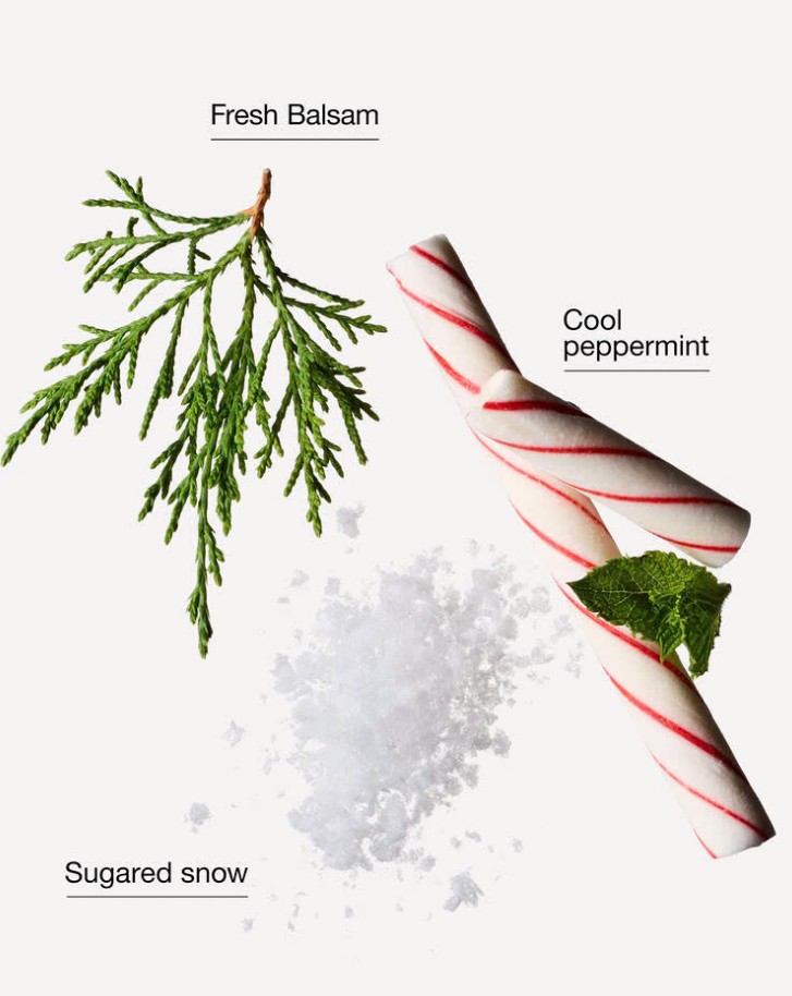 BATH & BODY WORKS - TWISTED PEPPERMINT HAND CREAM