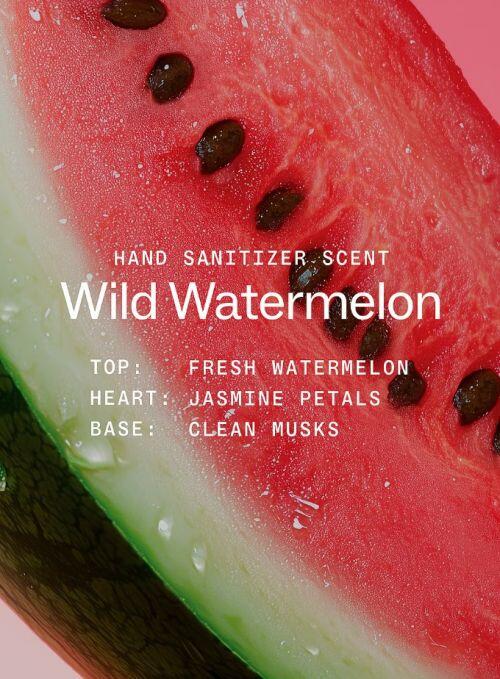 PINK ? TOUCHLAND- WILD WATERMELON HAND SANITIZER