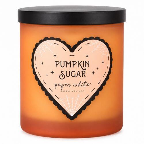 PAPER WHITE CANDLE COMPANY PUMPKIN SUGAR SCENTED CANDLE