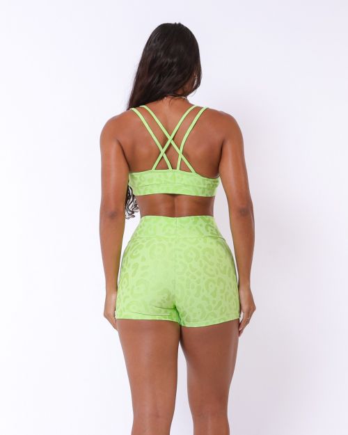 Conjunto Short Básico Curtinho New Onça Fit + Top Lu