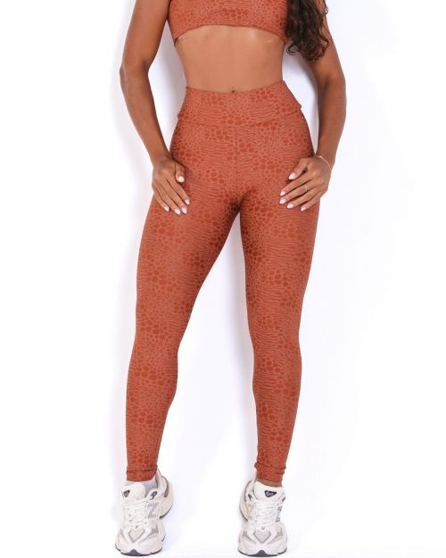 Cal�a Legging B�sica Feline (P)