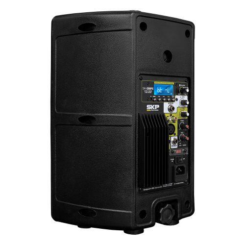 Comprar Sistema Profissional Caixa Ativa e Passiva SKP Pro SK 208 PX