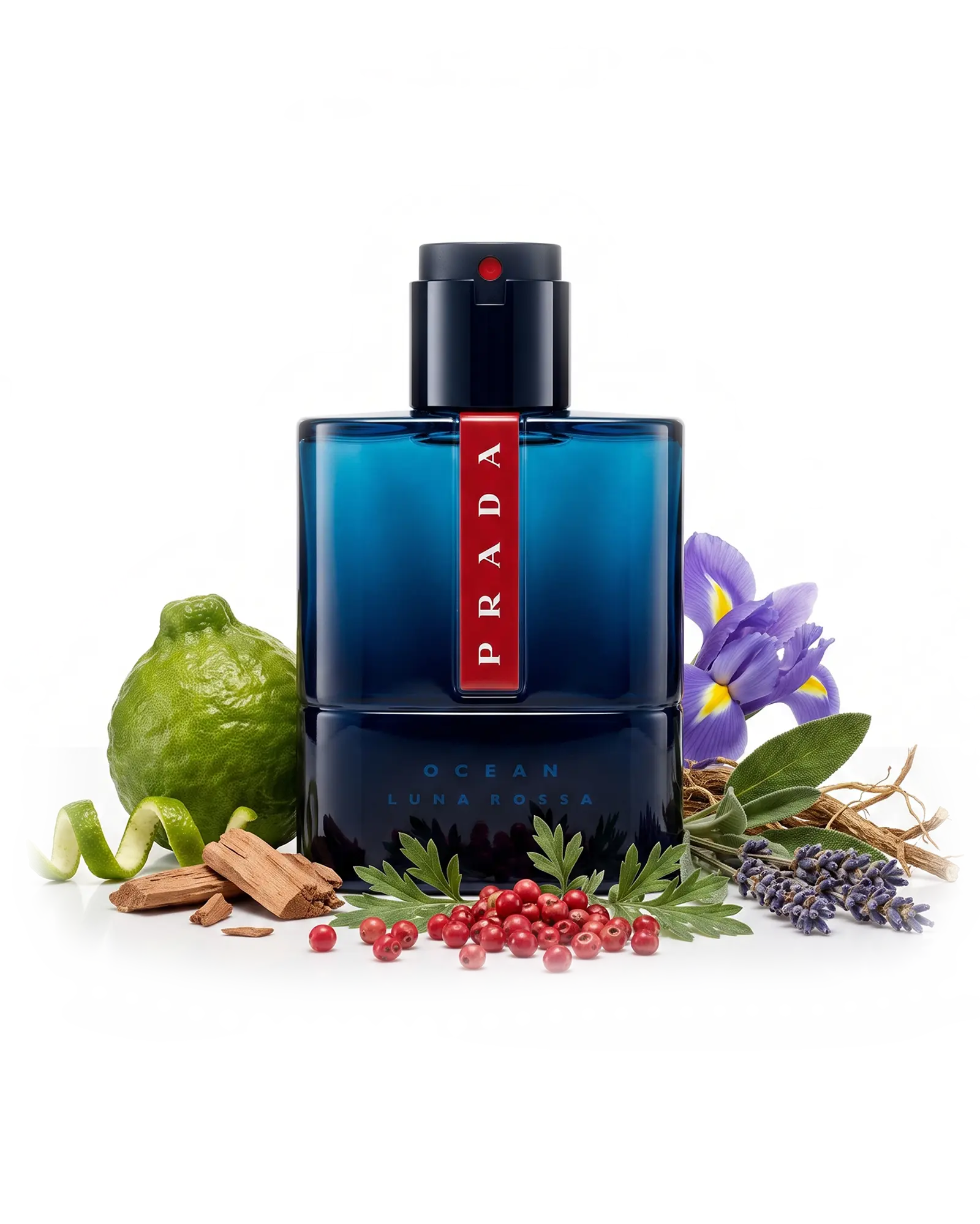 Luna Rossa Ocean EDT | Perfume Masculino Prada - a partir de R$755,25