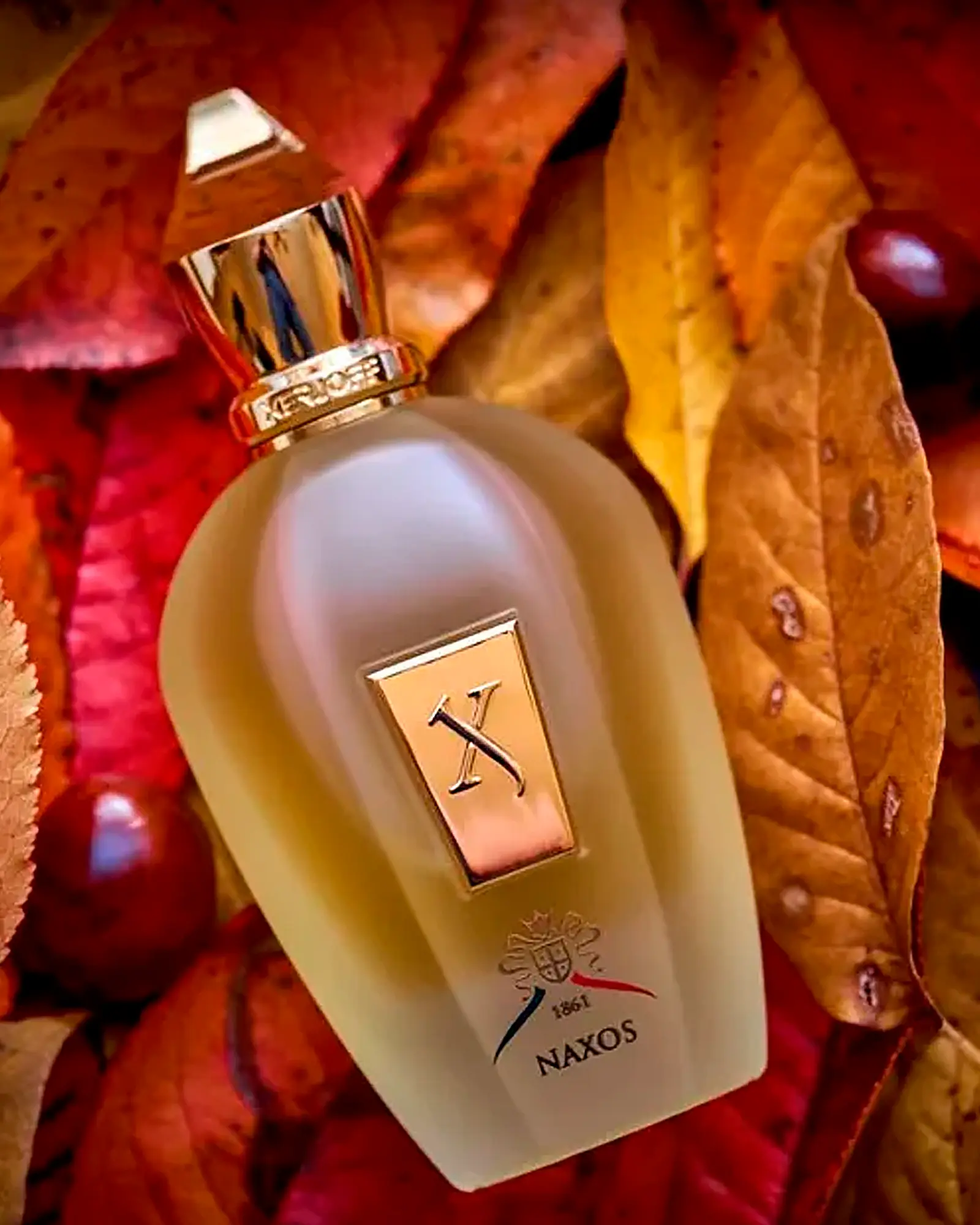 Perfume Xerjoff Naxos EDP 100ml | Compartilhável - a partir de R